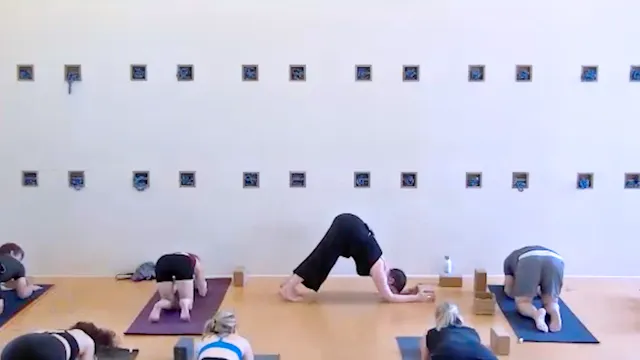 Flow: Handstand & Forearm Stand Prep ...