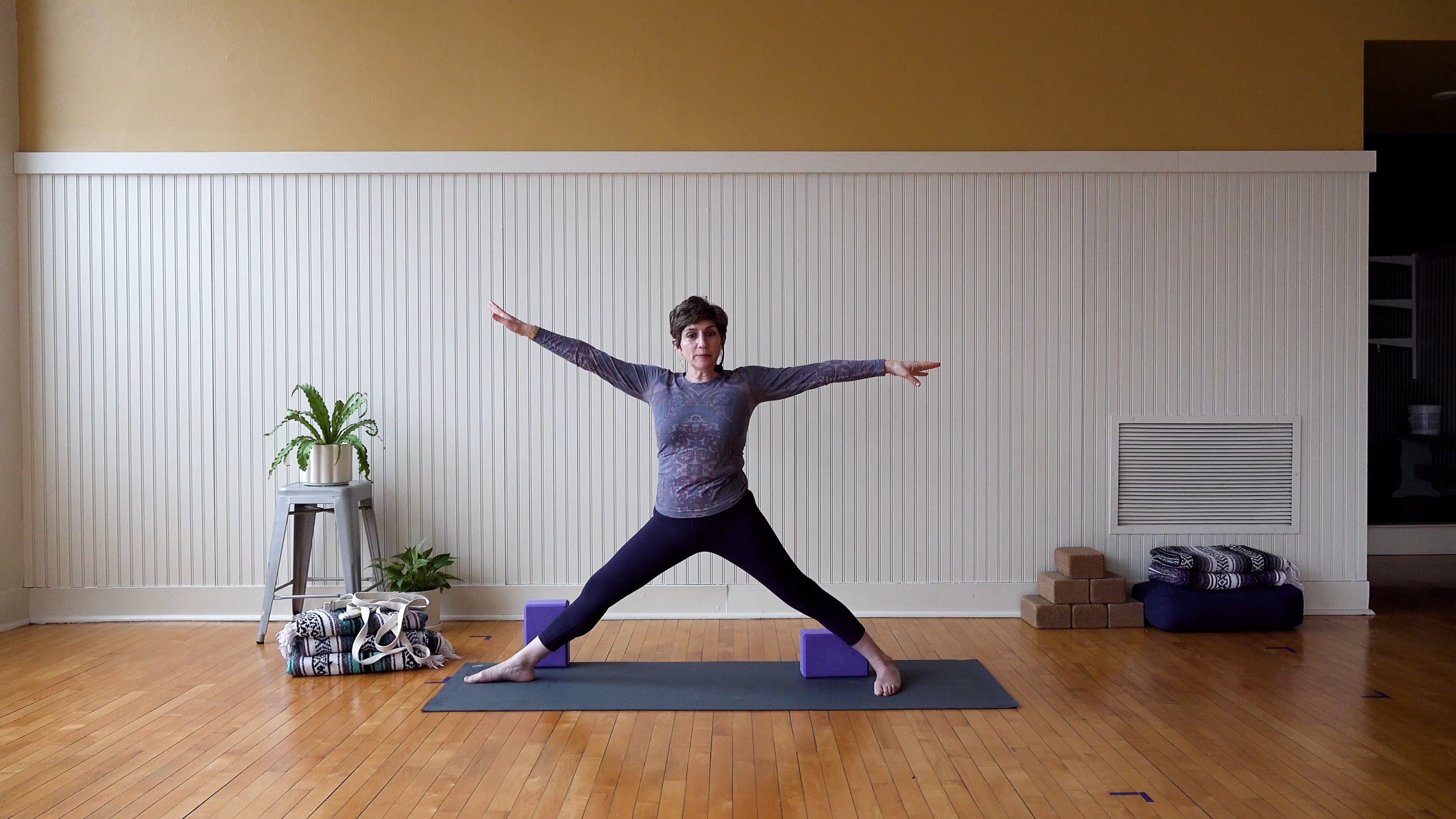 Iyengar • Level One Hips don't Lie! • Shara Lewis • 60min