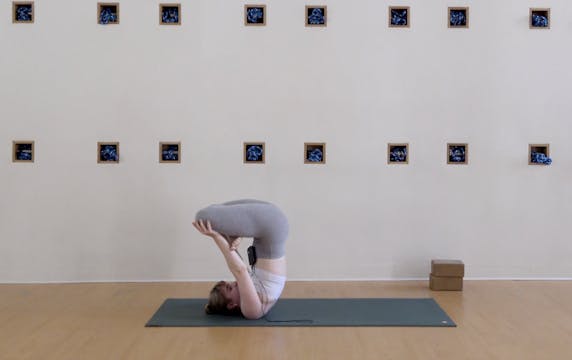 Ashtanga: Finishing Poses • Abby Keen...