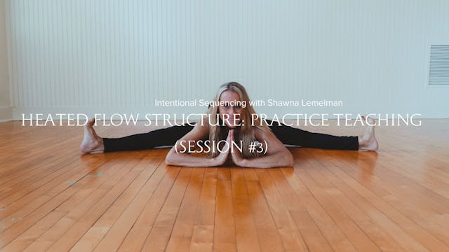 Practice Teaching with Shawna Lemelman (Session #3)