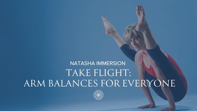 Flow: Take Flight – Arm Balances for Everyone • Natasha Rizopoulos • 60 min