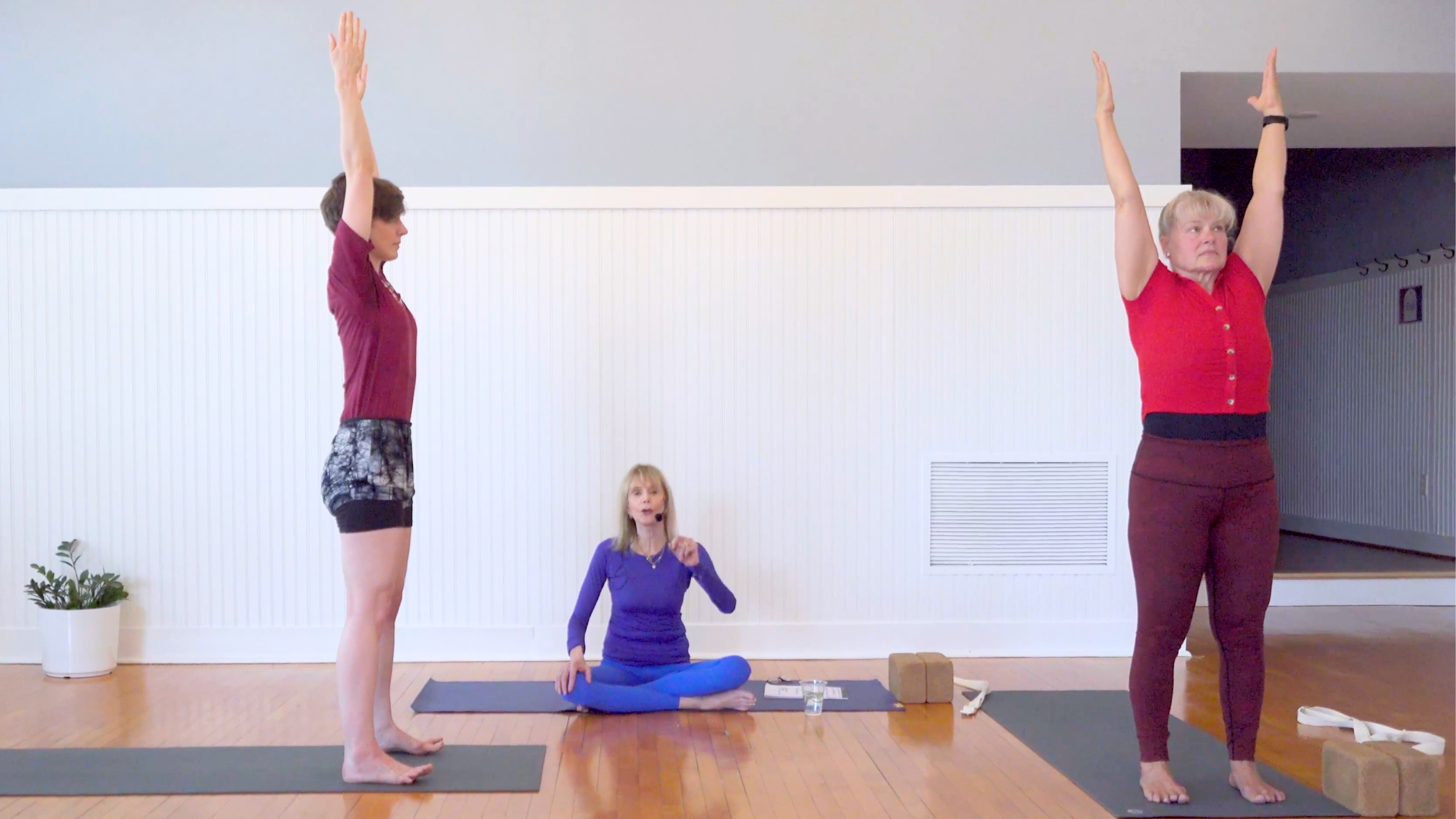 Iyengar: Arm Balance Master Class • Patricia Walden • 60 min