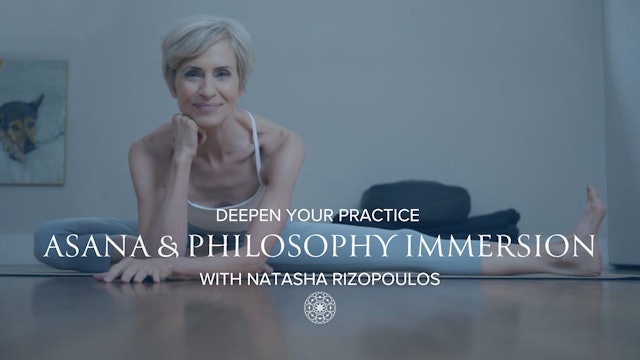 4 Week Immersion Series with Natasha 