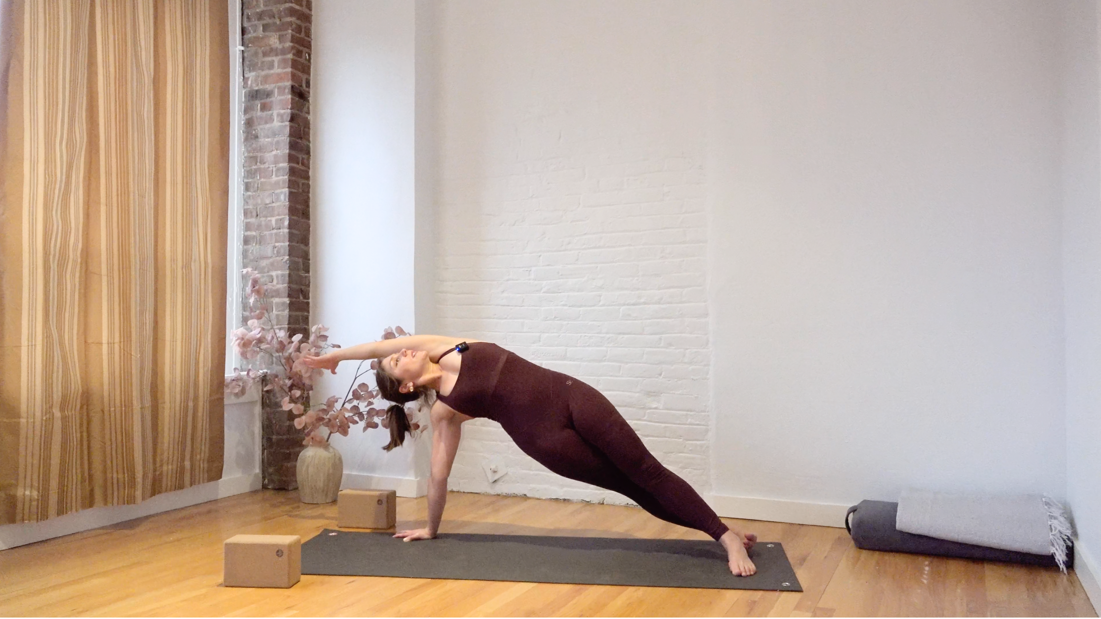 Flow: Powerful Planks • Emily Sullivan • 45 min