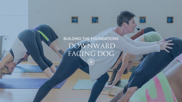 Building Downward Facing Dog • Kate Heffernan • 30 min