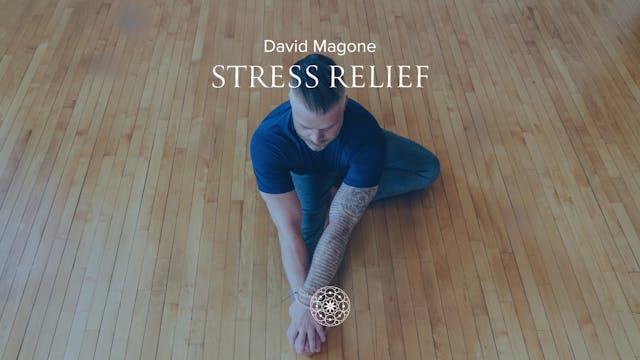 Restorative: Stress Relief • David Ma...