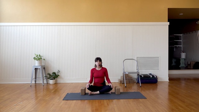 Iyengar: Stability and Ease while Standing on One Leg • Claire Carroll • 30 min