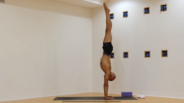 Ashtanga Fusion: Advanced Arm Balances • Jovan Tevin • 50 min
