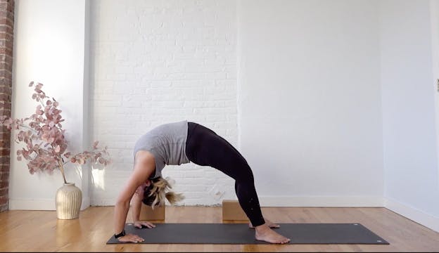 Urdhva Dhanurasana • Paulina Haduong ...