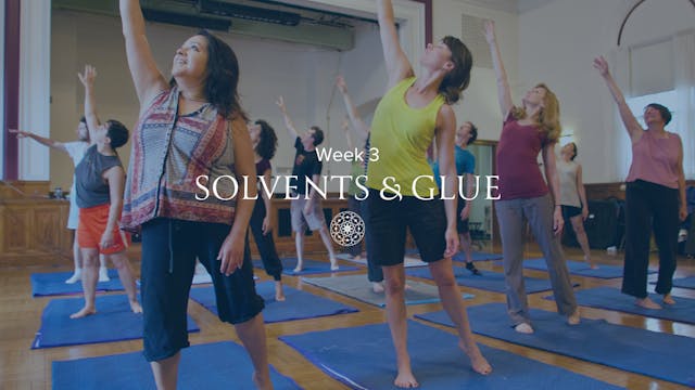 Week 3: Cultivating Power