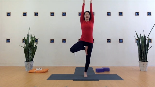 Iyengar: Standing Poses for Strength & Stability • Nadja Refaie • 45 min