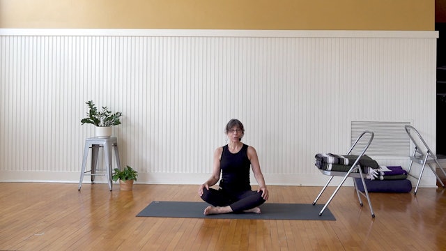 Iyengar: Best of Back Care with Claire Carroll