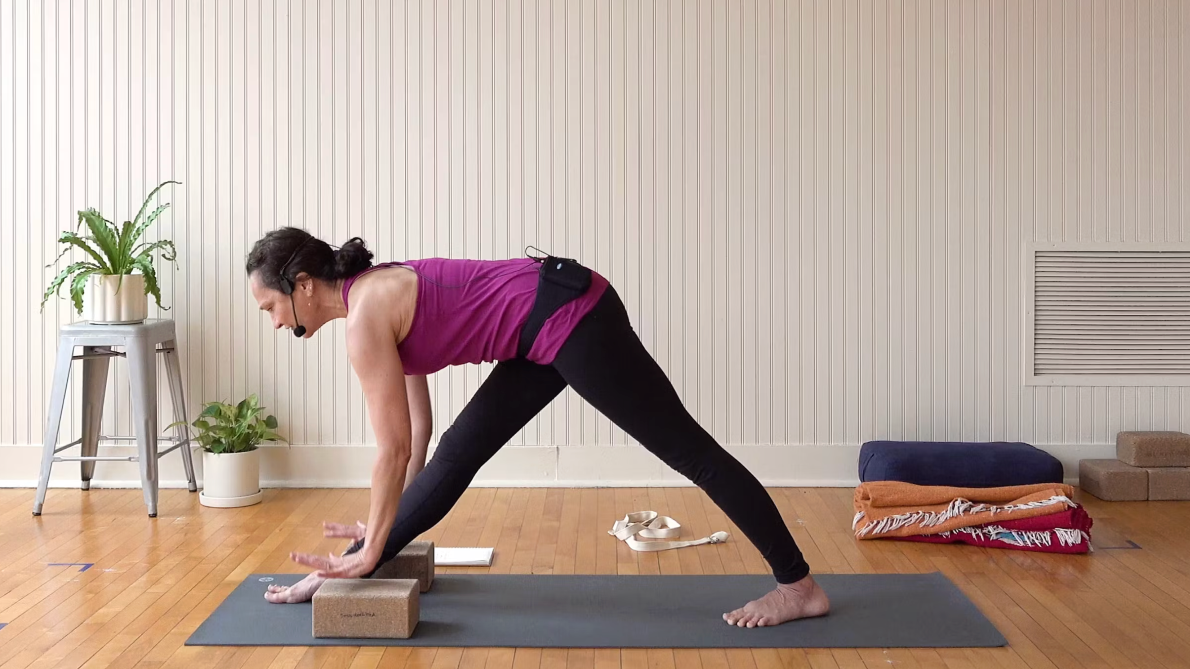 Iyengar: Refining Parsvottanasana • Nadja Refaie • 20 min