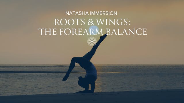 Roots & Wings: The Forearm Balance