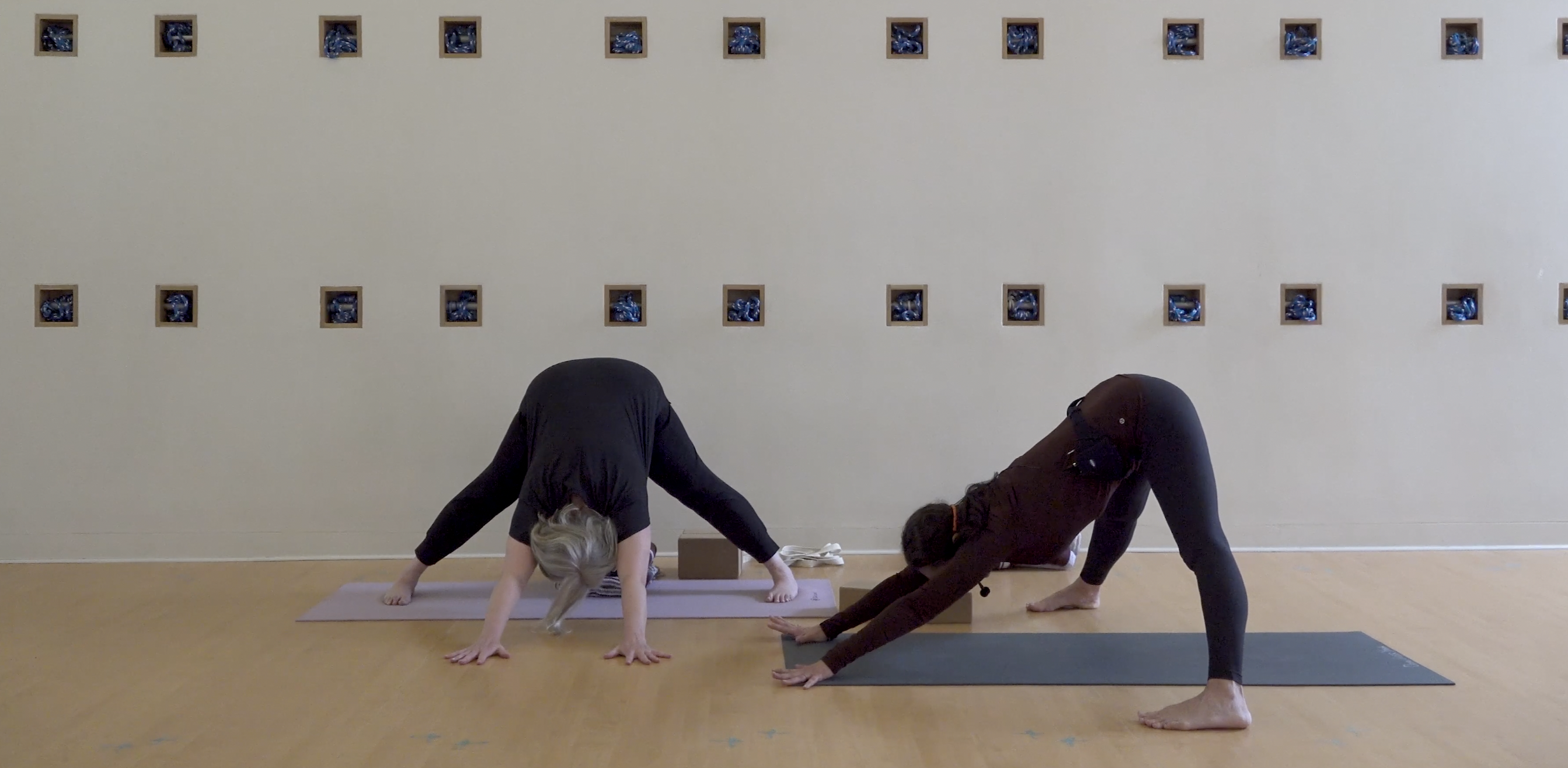 Iyengar: Standing Strong • Nadja Refaie • 38 minutes