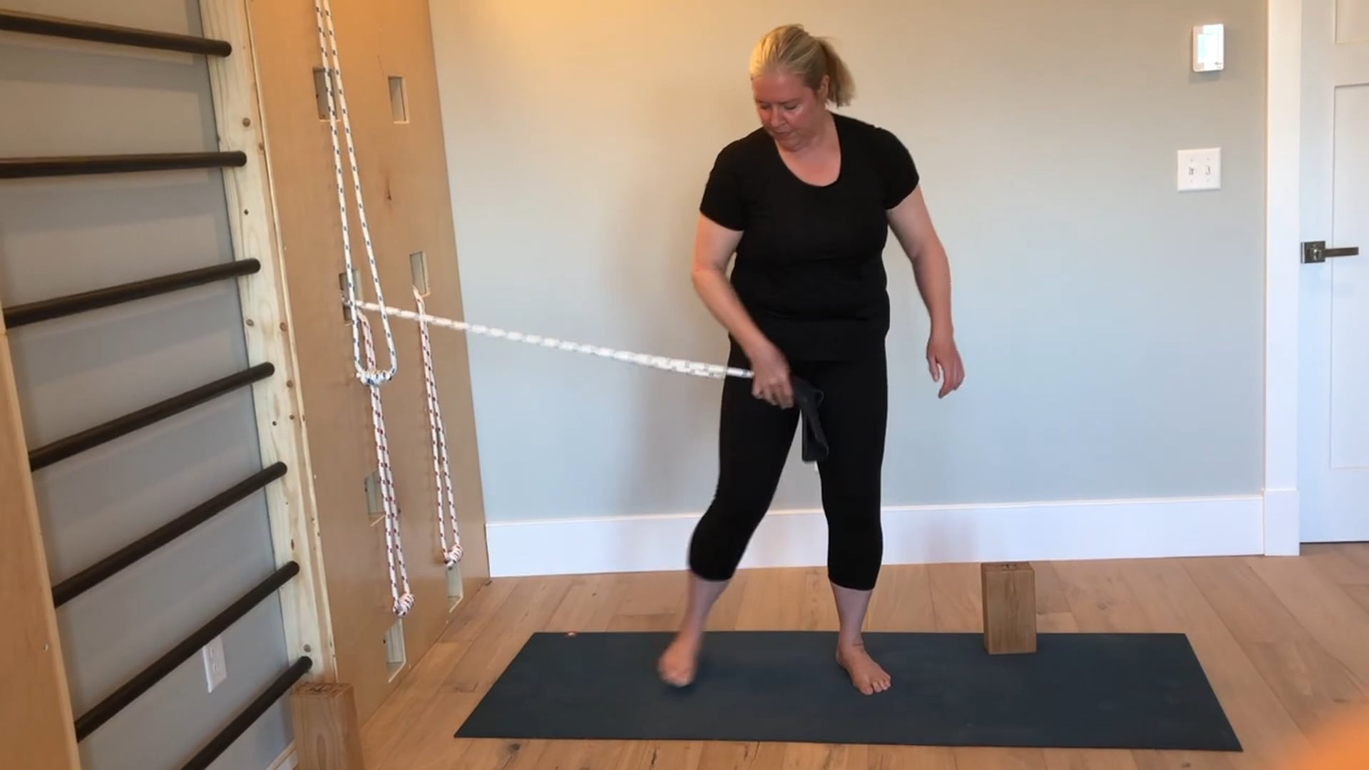 Iyengar Ropes: Standing Poses • Tristan Boyer Binns • 15 min 