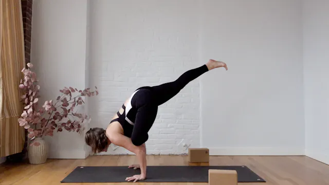 Flow: Flying Pigeon • Emily Sullivan ...