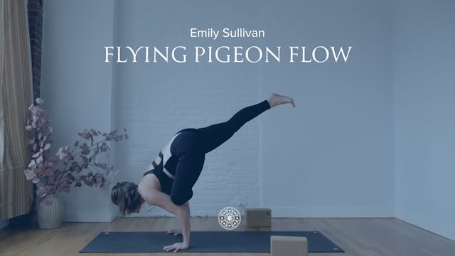 Flow: Flying Pigeon Flow • Emily Sull...
