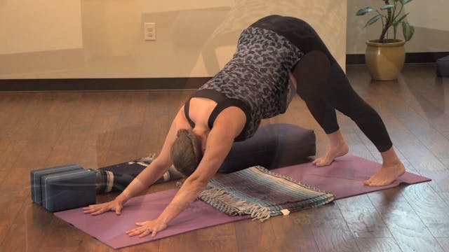 Prenatal: Chapter 1.1 • Sun Salutatio...