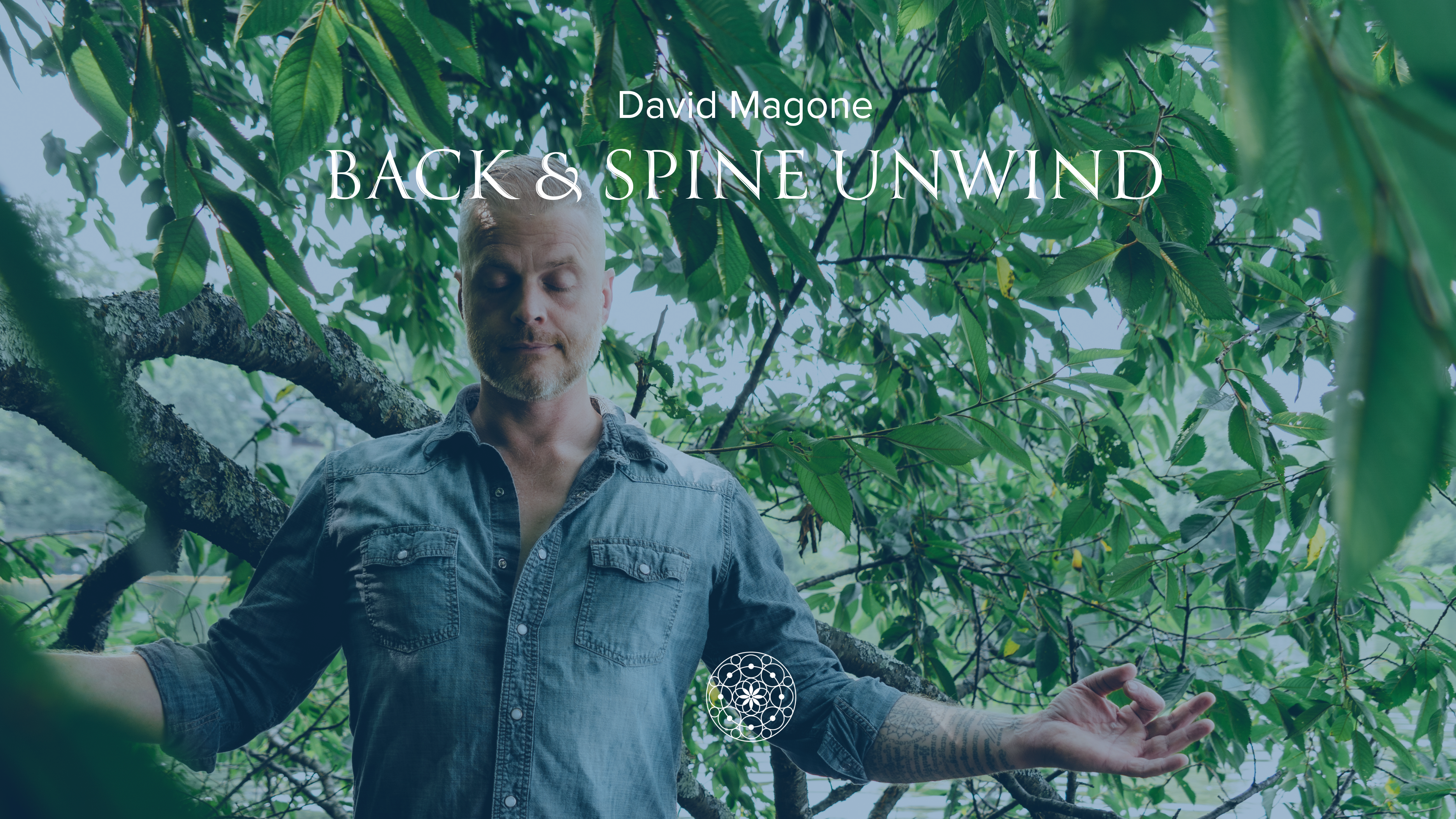 Restorative: Back & Spine Unwind • David Magone • 60 min
