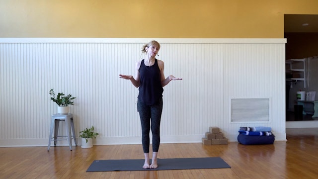 Ashtanga: 30 min Flow • Didi Von Deck 