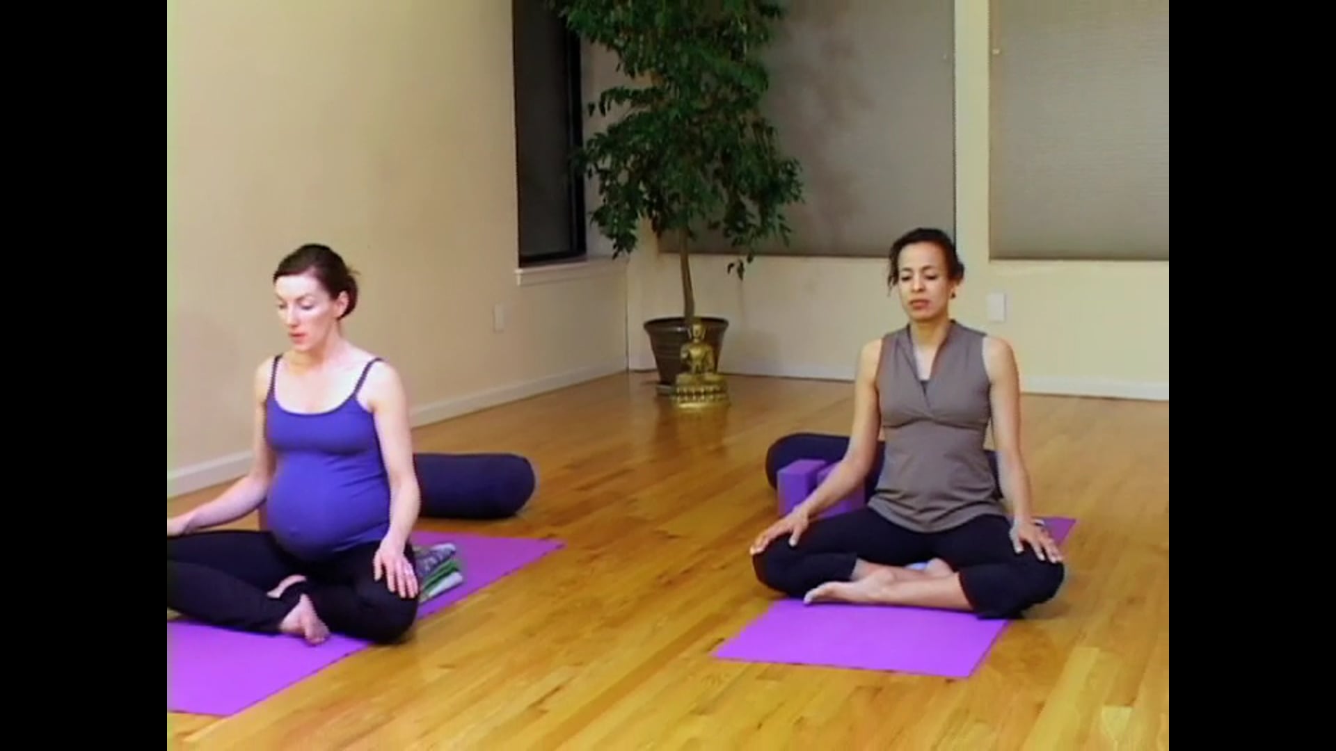 Prenatal: Chapter 9.1 • Prenatal Yoga • 60 min