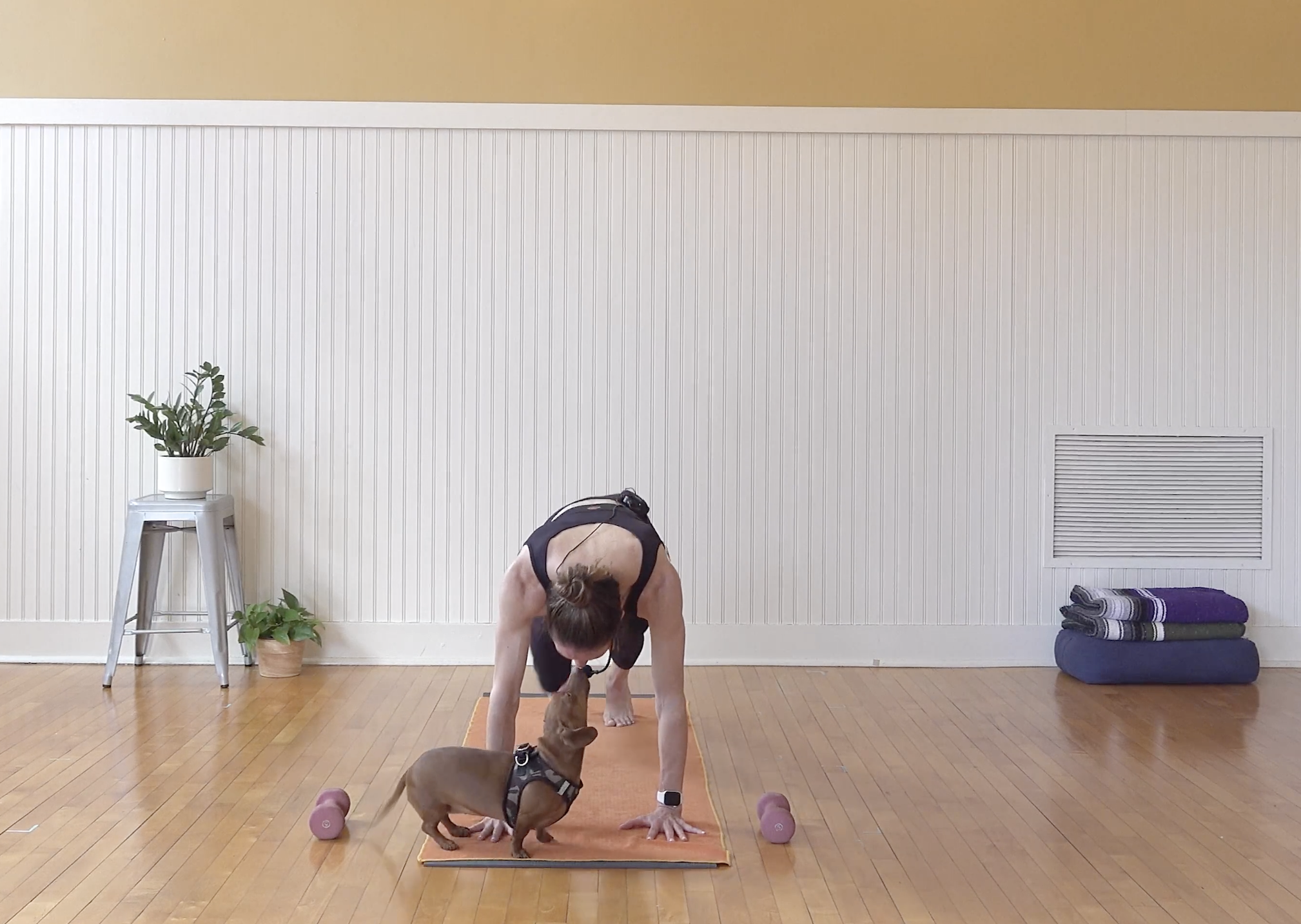 Yoga Sculpt with Meredith Evangelisti 60 min