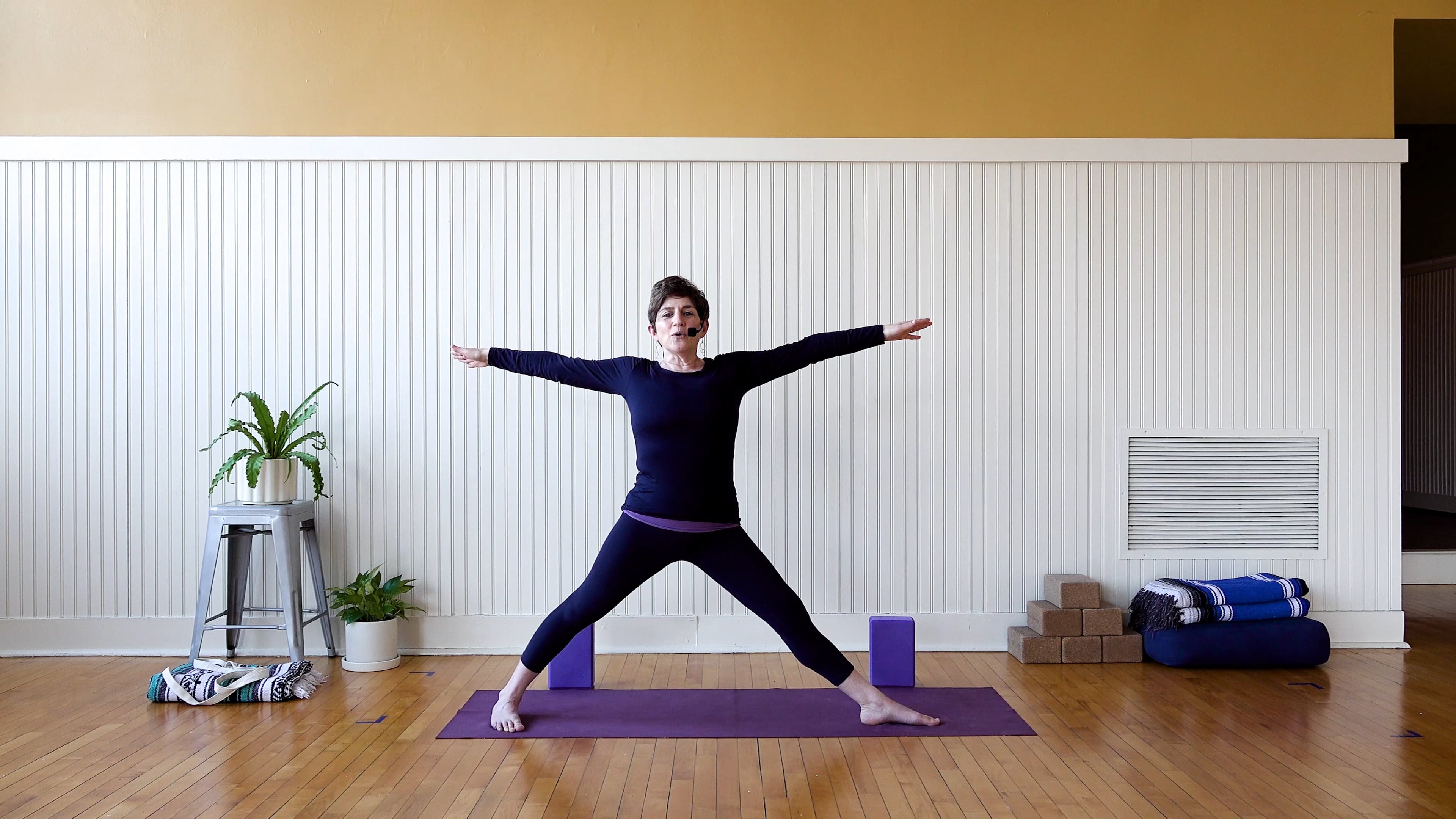 Iyengar: Level One Mini Morning Class • Shara Lewis • 30 min