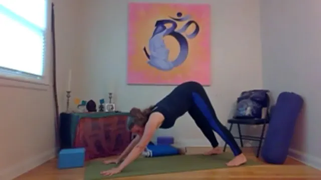 Prenatal: Chapter 1.3 • Why Modify Su...