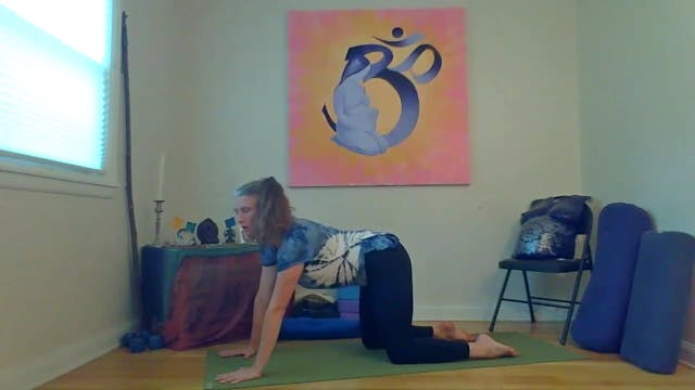 Prenatal: Chapter 6.4 • Back Core • B...