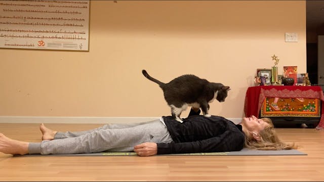 Feldenkrais: Awareness through Moveme...