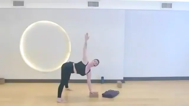 Flow: Twists & Heart Openers • Kate H...