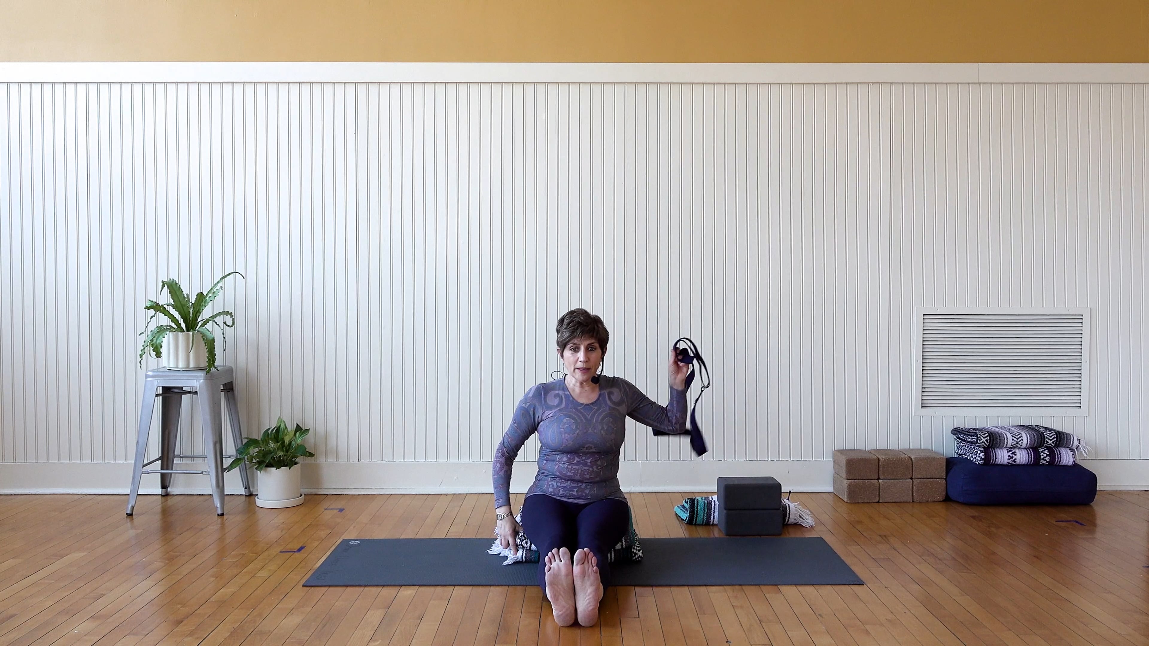 Iyengar: Level 1/2:  Stretch and Twist • Shara Lewis • 60 min