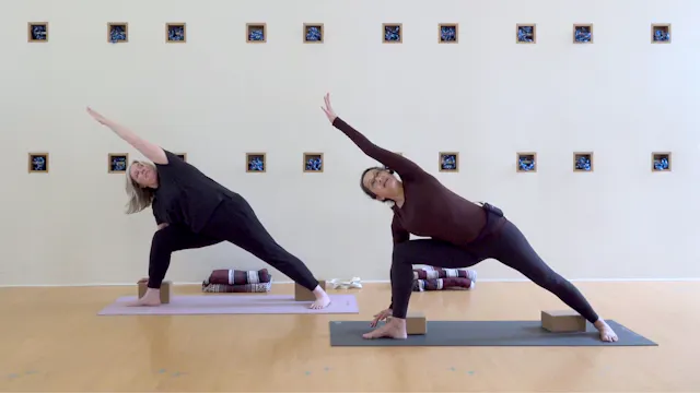 Iyengar: Standing Strong • Nadja Refa...