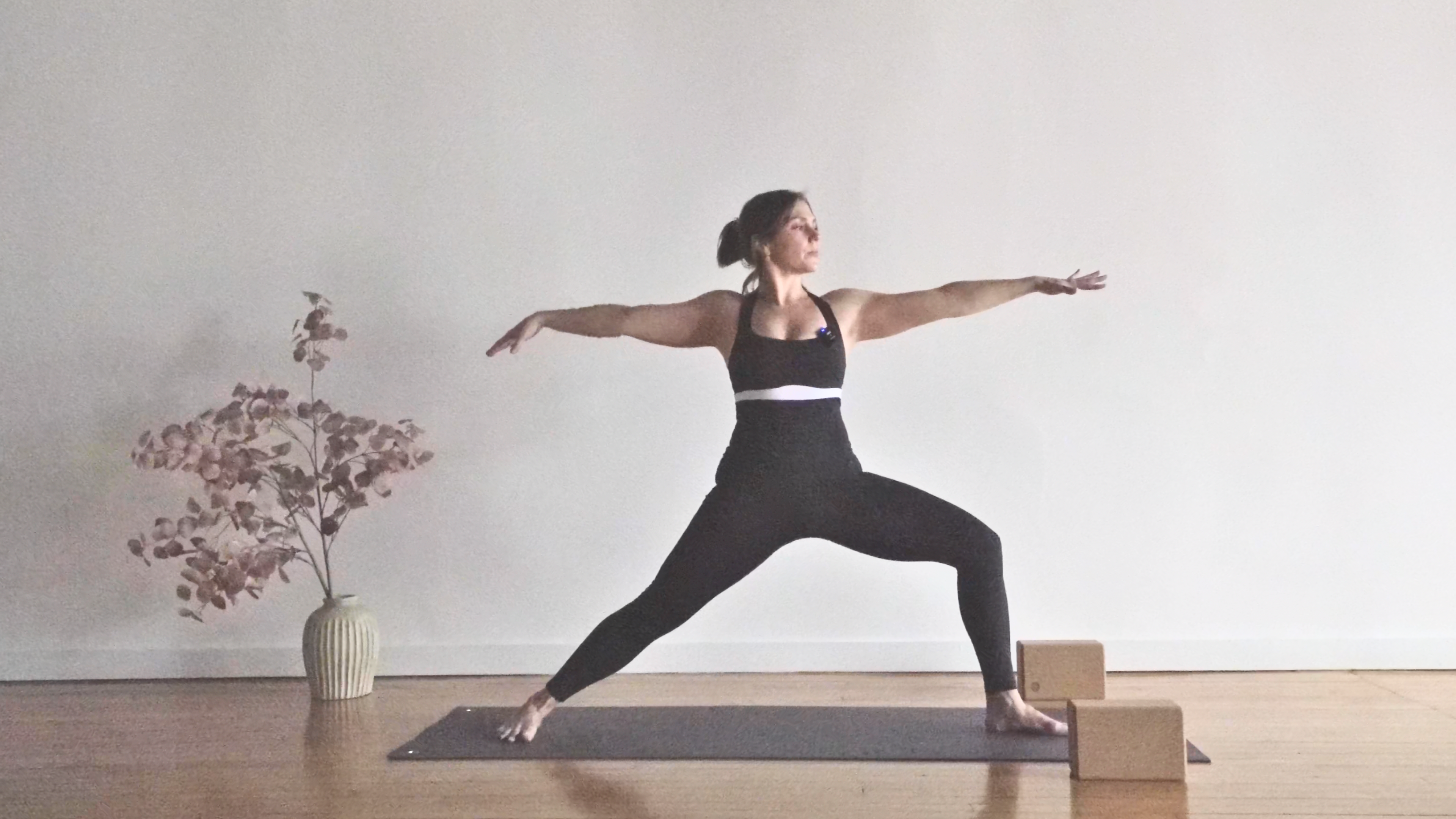 Flow: Strength & Length • Emily Sullivan • 50 min