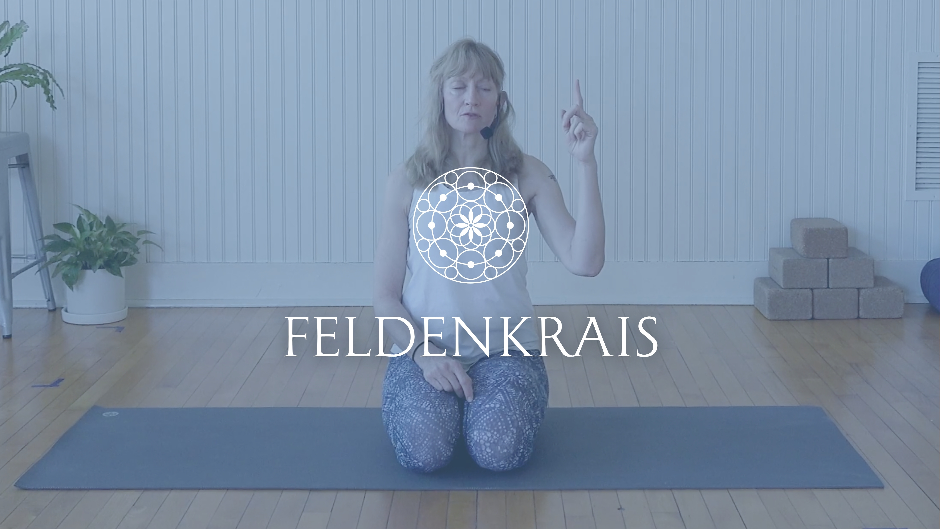 Feldenkrais Classes