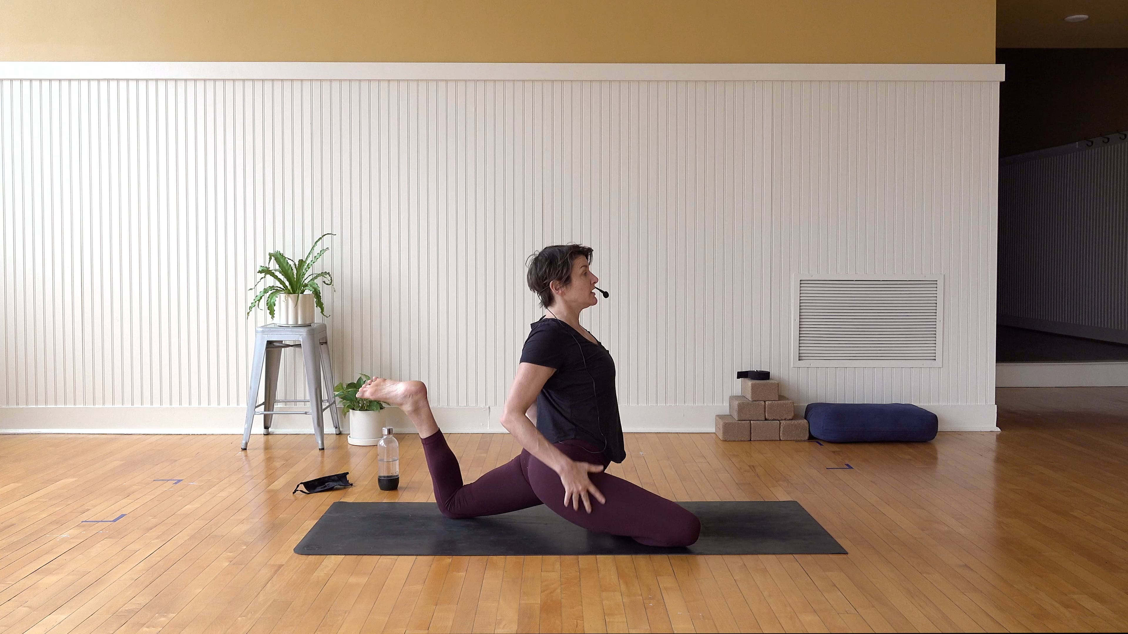 Flow Tutorial: Pigeon • Marina Traub • 5 min