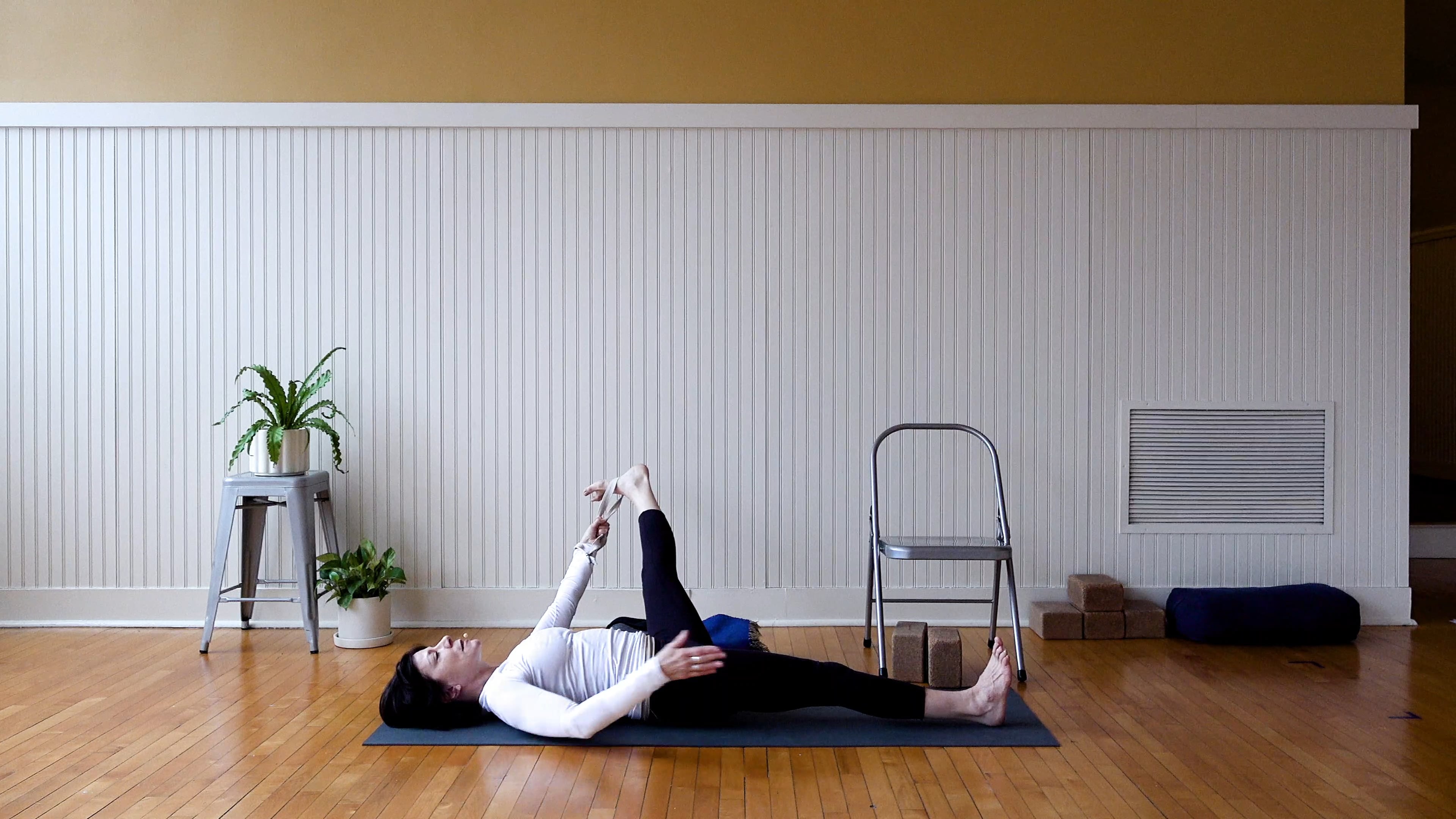Iyengar: Forward Extensions and Twists • Claire Carroll • 40 min