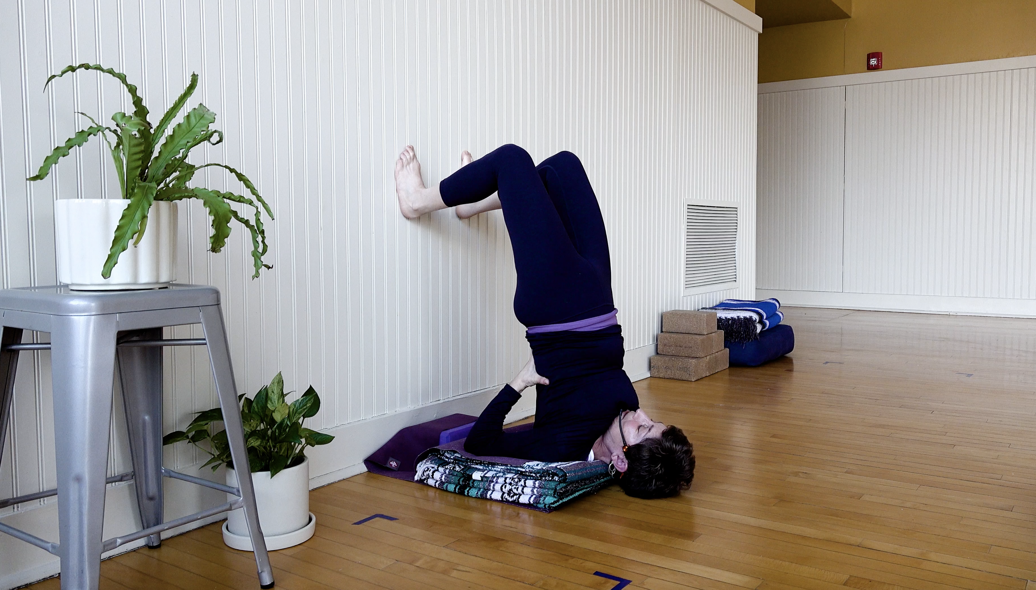 Iyengar: Shoulder Stands Three Ways • Shara Lewis • 15 min