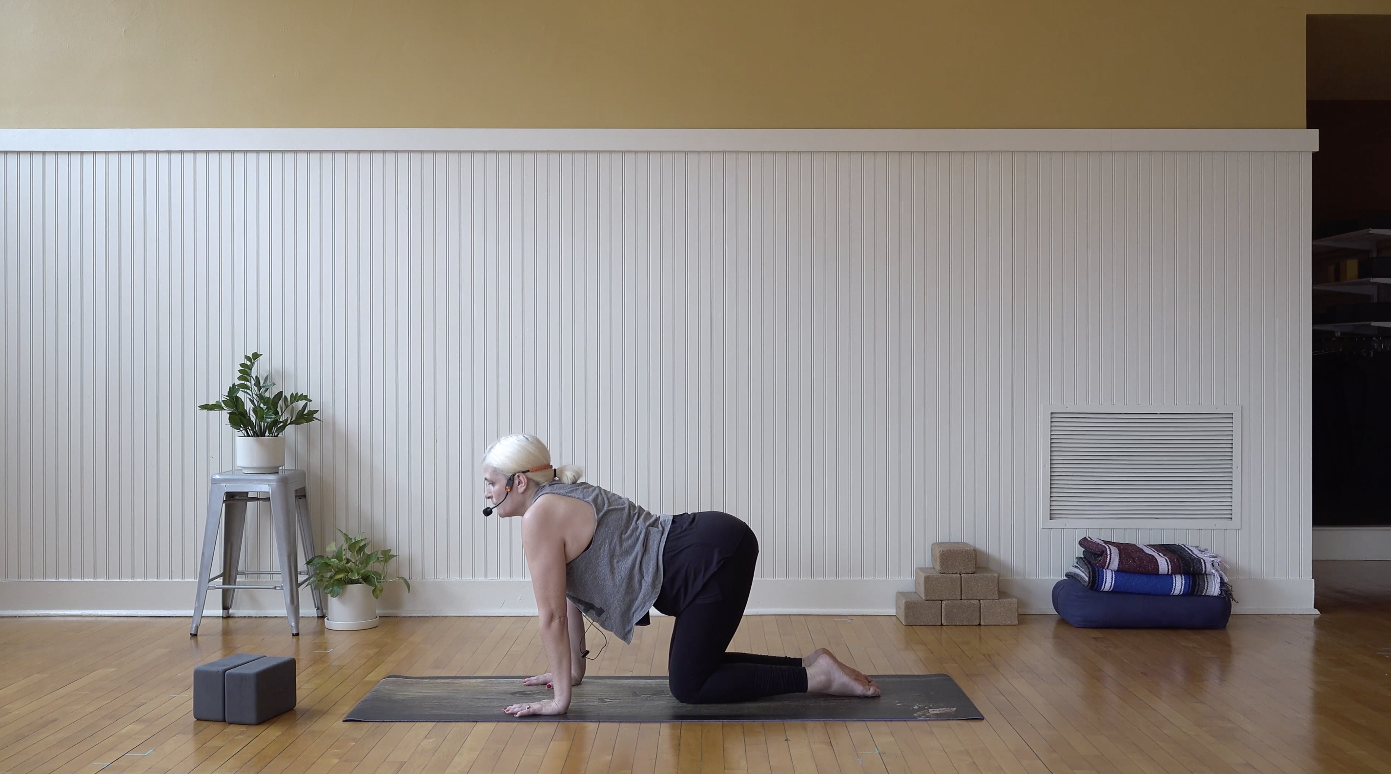 Flow: Asana Clinic for two Back Bends • Larisa Forman • 25 min