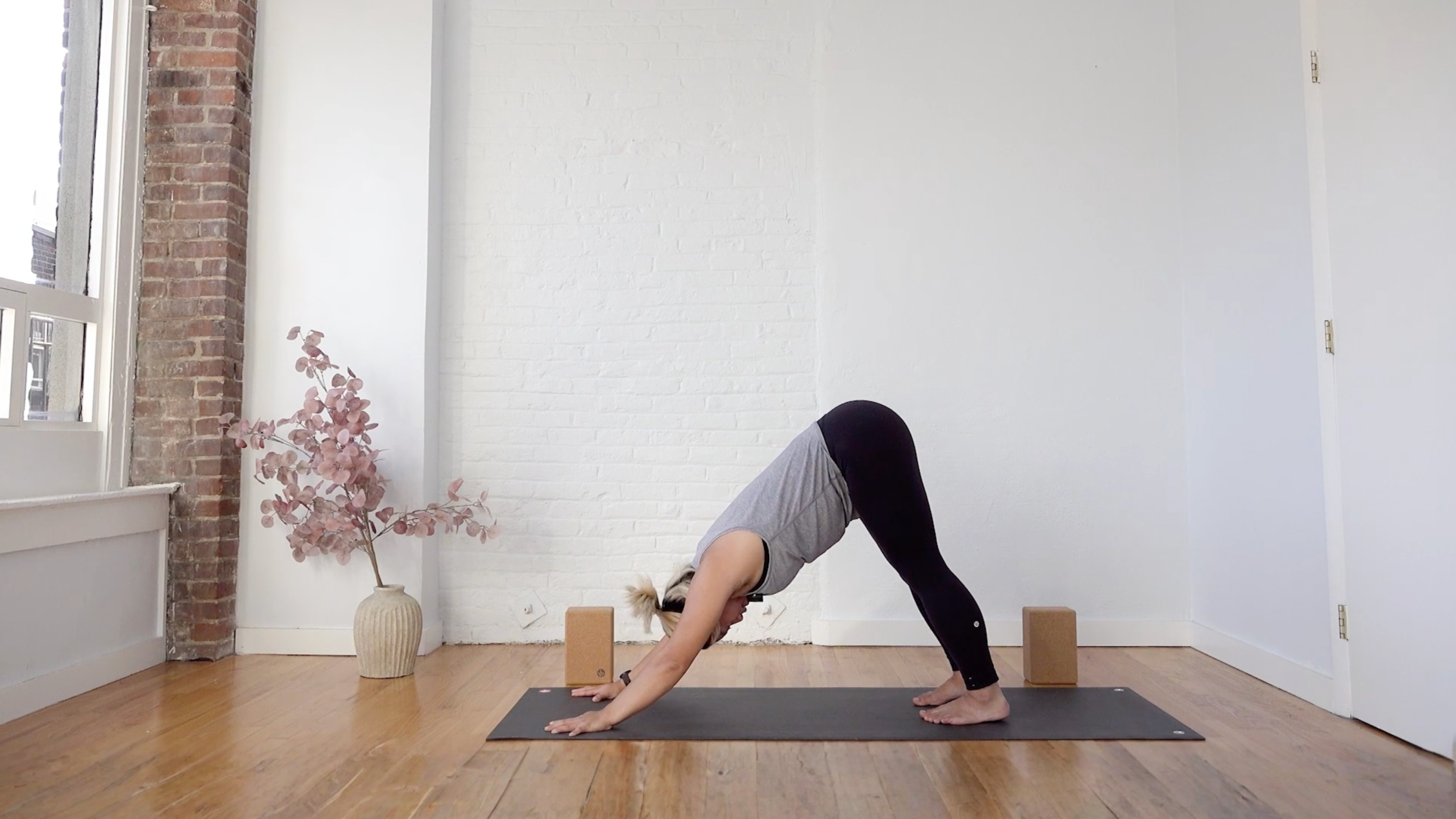 Ashtanga: All Levels Flow • Paulina Haduong • 45 min