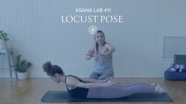 Asana Lab #11: Locust Pose