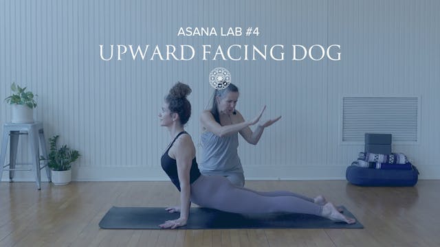 Asana Lab #4: Upward Facing Dog