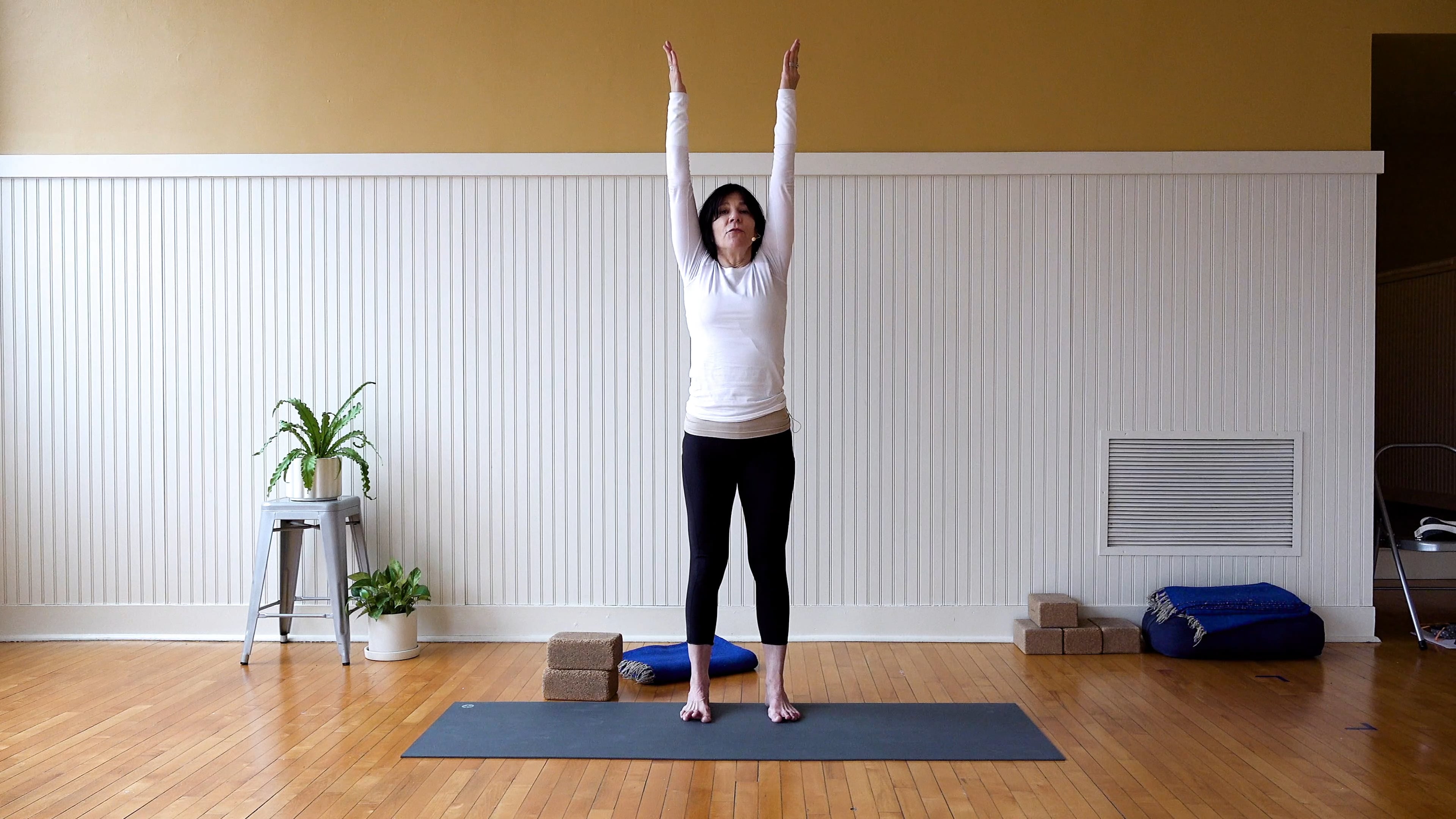 Iyengar: Backbends for Courage, Discipline, & Vigor • Claire Carroll • 30 min