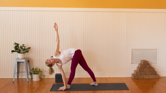 Ashtanga: Some Primary, Some Second • Didi von Deck • 50 Minutes