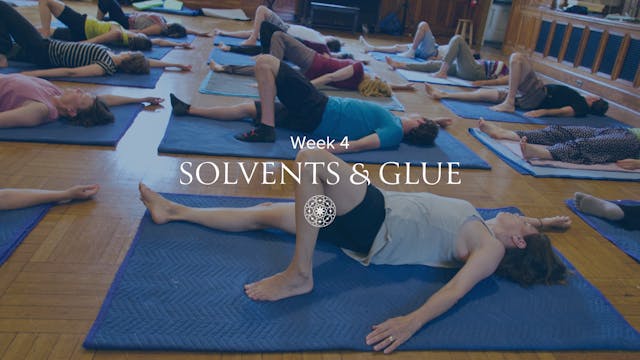 Week 4: Connection & Synergy