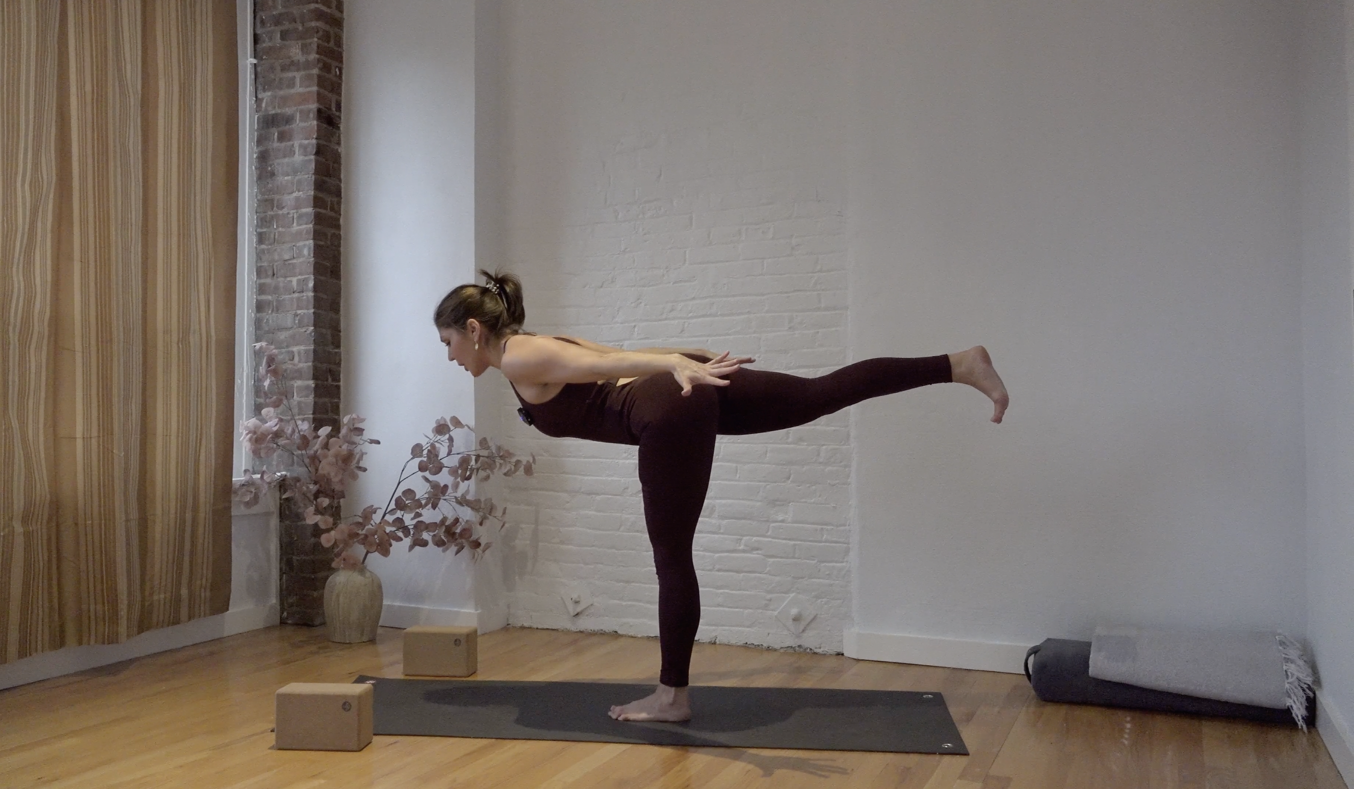 Powerful Planks • Emily Sullivan • 45 minutes