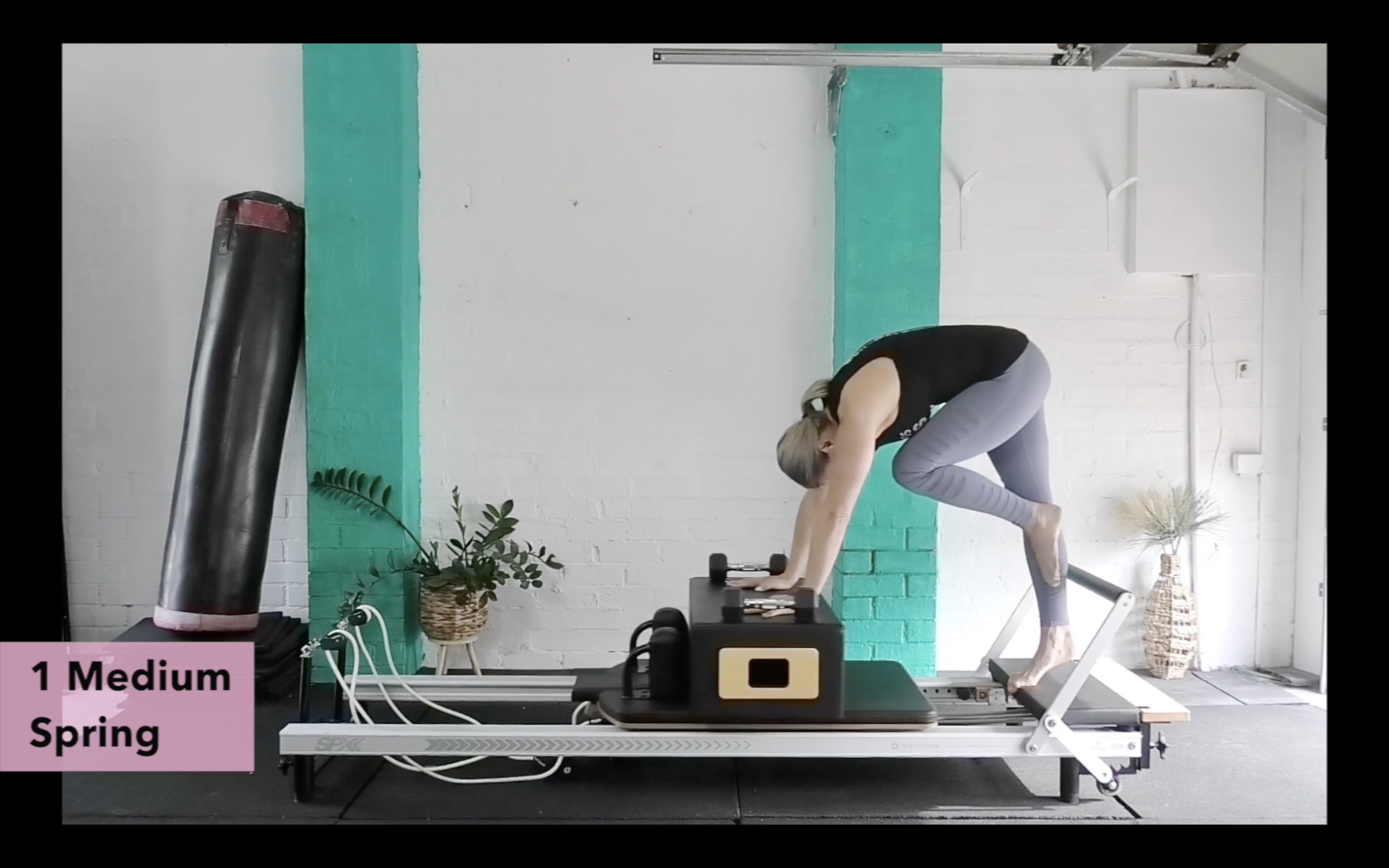 Kylie's Flamingo Show