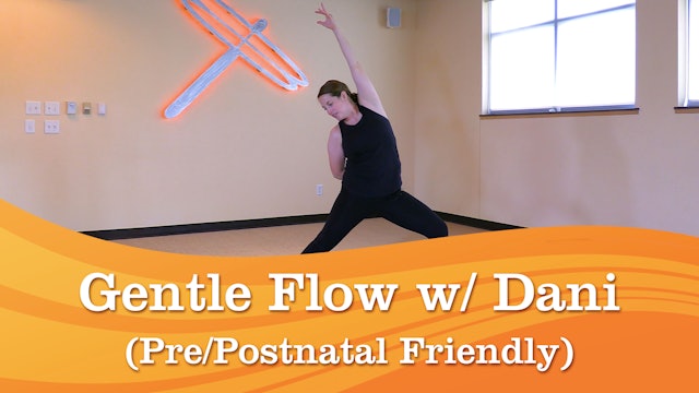 Gentle Flow w/ Dani (Pre/Postnatal Friendly)