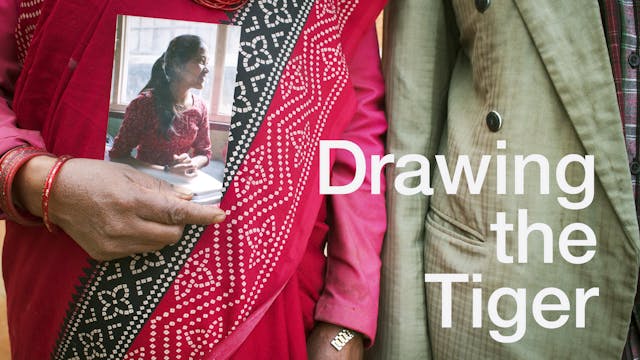 Drawing the Tiger